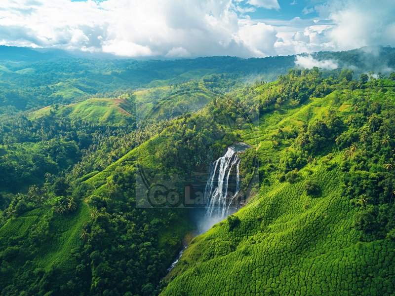 Sri Lanka's Ultimate 11 Days 10 nights Adventure