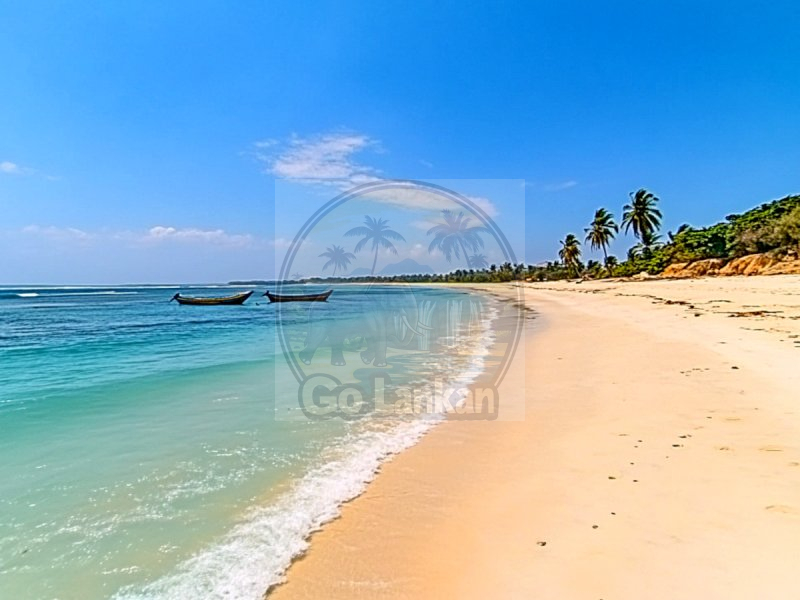 Explore Sri Lanka's Cultural & Natural Wonders