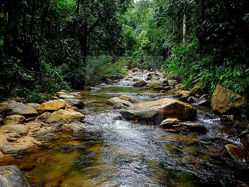 Serene Escape: Katunayake to Deniyaya
